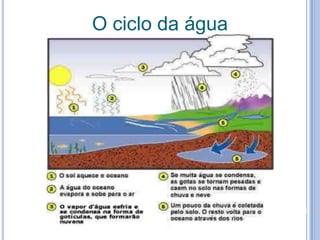 O ciclo da água