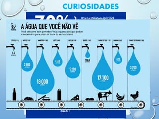 CURIOSIDADES
 