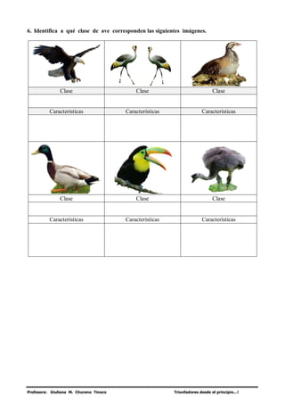 Profesora: Giuliana M. Churano Tinoco Triunfadores desde el principio…!
6. Identifica a qué clase de ave corresponden las siguientes imágenes.
Clase Clase Clase
Características Características Características
Clase Clase Clase
Características Características Características
 