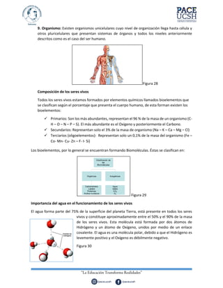 9. Organismo: Existen organismos unicelulares cuyo nivel de organización llega hasta célula y
otros pluricelulares que presentan sistemas de órganos y todos los niveles anteriormente
descritos como es el caso del ser humano.
Figura 28
Composición de los seres vivos
Todos los seres vivos estamos formados por elementos químicos llamados bioelementos que
se clasifican según el porcentaje que presenta el cuerpo humano, de esta forman existen los
bioelementos:
 Primarios: Son los más abundantes, representan el 96 % de la masa de un organismo (C-
H – O – N – P – S). El más abundante es el Oxígeno y posteriormente el Carbono.
 Secundarios: Representan solo el 3% de la masa de organismo (Na – K – Ca – Mg – Cl)
 Terciarios (oligoelementos): Representan solo un 0,1% de la masa del organismo (Fe –
Co- Mn- Cu- Zn – F- I- Si)
Los bioelementos, por lo general se encuentran formando Biomoléculas. Éstas se clasifican en:
Figura 29
Importancia del agua en el funcionamiento de los seres vivos
El agua forma parte del 75% de la superficie del planeta Tierra, está presente en todos los seres
vivos y constituye aproximadamente entre el 50% y el 90% de la masa
de los seres vivos. Esta molécula está formada por dos átomos de
Hidrógeno y un átomo de Oxígeno, unidos por medio de un enlace
covalente. El agua es una molécula polar, debido a que el Hidrógeno es
levemente positivo y el Oxígeno es débilmente negativo.
Figura 30
 