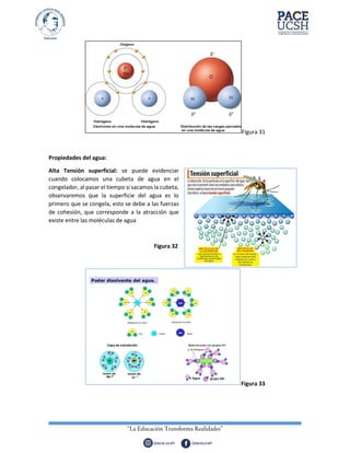 Figura 31
Propiedades del agua:
Alta Tensión superficial: se puede evidenciar
cuando colocamos una cubeta de agua en el
congelador, al pasar el tiempo si sacamos la cubeta,
observaremos que la superficie del agua es lo
primero que se congela, esto se debe a las fuerzas
de cohesión, que corresponde a la atracción que
existe entre las moléculas de agua
Figura 32
Figura 33
 