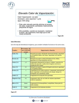 Figura 36
Sales Minerales:
Son otro tipo de biomolécula inorgánica, que cumplen múltiples funciones en los seres vivos.
Figura 37
 