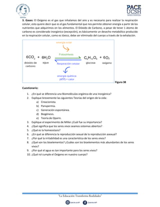 3. Gases: El Oxígeno es el gas que inhalamos del aire y es necesario para realizar la respiración
celular, esto quiere decir que es el gas fundamental que nos permite obtener energía a partir de los
nutrientes que adquirimos en los alimentos. El Dióxido de Carbono, a pesar de tener 1 átomo de
carbono es considerado inorgánico (excepción), es básicamente un desecho metabólico producido
en la respiración celular, como es tóxico, debe ser eliminado del cuerpo a través de la exhalación.
Figura 38
Cuestionario:
1. ¿En qué se diferencia una Biomoléculas orgánica de una inorgánica?
2. Explique brevemente las siguientes Teorías del origen de la vida:
a) Creacionista.
b) Panspermia.
c) Generación espontánea.
d) Biogénesis.
e) Teoría de Oparin.
3. Explique el experimento de Miller ¿Cuál fue su importancia?
4. ¿Qué significa que los seres vivos seamos sistemas abiertos?
5. ¿Qué es la homeostasis?
6. ¿En qué se diferencia la reproducción sexual de la reproducción asexual?
7. ¿Por qué la irritabilidad es una característica de los seres vivos?
8. ¿Qué son los bioelementos? ¿Cuáles son los bioelementos más abundantes de los seres
vivos?
9. ¿Por qué el agua es tan importante para los seres vivos?
10. ¿Qué rol cumple el Oxígeno en nuestro cuerpo?
 