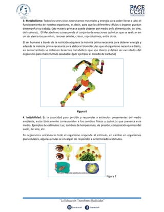 3: Metabolismo: Todos los seres vivos necesitamos materiales y energía para poder llevar a cabo el
funcionamiento de nuestro organismo, es decir, para que las diferentes células y órganos puedan
desempeñar su trabajo. Esta materia prima se puede obtener por medio de la alimentación, del aire,
del suelo etc. El Metabolismo corresponde al conjunto de reacciones químicas que se realizan en
un ser vivo y nos permiten, renovar células, crecer, reproducirnos, entre otros.
El ser humano a través de la nutrición adquiere la materia prima necesaria para obtener energía y
además la materia prima necesaria para elaborar biomoléculas que el organismo necesita a diario,
así como también se obtienen desechos metabólicos que son tóxicos y deben ser excretados del
organismo para mantenernos saludables (por ejemplo, el dióxido de carbono)
Figura 6
4. Irritabilidad: Es la capacidad para percibir y responder a estímulos provenientes del medio
ambiente, estos básicamente corresponden a los cambios físicos y químicos que presenta este
medio. Ejemplos de estímulos: Luz, cambios de temperatura, de presión, composición química del
suelo, del aire, etc.
En organismos unicelulares todo el organismo responde al estímulo, en cambio en organismos
pluricelulares, algunas células se encargan de responder a determinados estímulos.
Figura 7
 