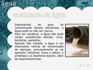 Dependendo do grau de concentração desses elementos, a água pode ou não ser nociva.  Para ser saudável, a água não pode conter substâncias tóxicas, vírus, bactérias, parasitos.  Quando não tratada, a água é um importante veículo de transmissão de doenças, principalmente as do aparelho intestinal, como a cólera, a amebíase e a disenteria bacilar, além da esquistossomose.  