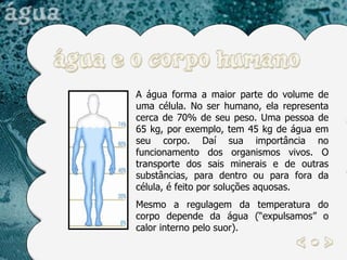 A água forma a maior parte do volume de uma célula. No ser humano, ela representa cerca de 70% de seu peso. Uma pessoa de 65 kg, por exemplo, tem 45 kg de água em seu corpo. Daí sua importância no funcionamento dos organismos vivos. O transporte dos sais minerais e de outras substâncias, para dentro ou para fora da célula, é feito por soluções aquosas.  Mesmo a regulagem da temperatura do corpo depende da água (“expulsamos” o calor interno pelo suor). 