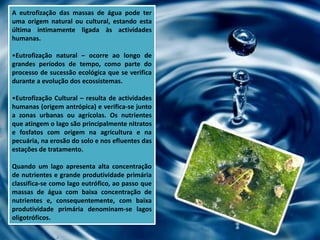 A eutrofização das massas de água pode ter
uma origem natural ou cultural, estando esta
última intimamente ligada às actividades
humanas.

•Eutrofização natural – ocorre ao longo de
grandes períodos de tempo, como parte do
processo de sucessão ecológica que se verifica
durante a evolução dos ecossistemas.

•Eutrofização Cultural – resulta de actividades
humanas (origem antrópica) e verifica-se junto
a zonas urbanas ou agrícolas. Os nutrientes
que atingem o lago são principalmente nitratos
e fosfatos com origem na agricultura e na
pecuária, na erosão do solo e nos efluentes das
estações de tratamento.

Quando um lago apresenta alta concentração
de nutrientes e grande produtividade primária
classifica-se como lago eutrófico, ao passo que
massas de água com baixa concentração de
nutrientes e, consequentemente, com baixa
produtividade primária denominam-se lagos
oligotróficos.
 
