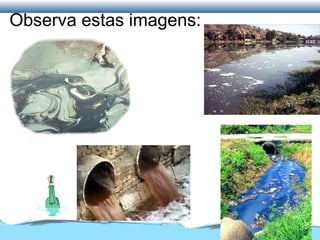Observa estas imagens:
 