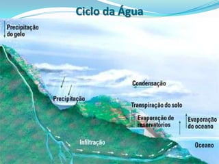 Ciclo da Água
 