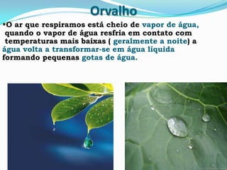 Orvalho
•O ar que respiramos está cheio de vapor de água,
quando o vapor de água resfria em contato com
temperaturas mais baixas ( geralmente a noite) a
água volta a transformar-se em água líquida
formando pequenas gotas de água.
 