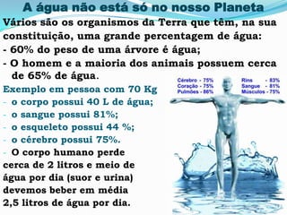 A água não está só no nosso Planeta
Vários são os organismos da Terra que têm, na sua
constituição, uma grande percentagem de água:
- 60% do peso de uma árvore é água;
- O homem e a maioria dos animais possuem cerca
de 65% de água.
Exemplo em pessoa com 70 Kg
- o corpo possui 40 L de água;
- o sangue possui 81%;
- o esqueleto possui 44 %;
- o cérebro possui 75%.
- O corpo humano perde
cerca de 2 litros e meio de
água por dia (suor e urina)
devemos beber em média
2,5 litros de água por dia.
 
