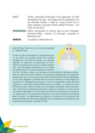 36 LAUDATO SI
MAÍZ	 ¡Órale, compadre Francisco! Ya la agarraste. El maíz
transgénico es eso: una plaga que va acabando con
las semillas criollas. Y digo yo: ¿qué mundo van a
dejar ustedes a quienes vienen detrás? Porque... ¡sin
maíz no hay país!
FRANCISCO	 Ahora comprendo lo mucho que te han chingado,
hermano Maíz... Vamos, di conmigo: ¡Laudato sí,
Monsanto no!
AMBOS	 ¡Laudato sí, Monsanto no!
Dice el Papa Francisco en su encíclica Laudato
Si, Alabado Seas:
		
Si bien no hay comprobación contundente acer-
ca del daño que podrían causar los cereales
transgénicos a los seres humanos, y en algunas
regiones su utilización ha provocado un creci-
miento económico que ayudó a resolver proble-
mas, hay dificultades importantes que no deben
ser relativizadas. En muchos lugares, tras la intro-
ducción de estos cultivos, se constata una concentración de tierras produc-
tivas en manos de pocos debido a la progresiva desaparición de pequeños
productores que, como consecuencia de la pérdida de las tierras explotadas,
se han visto obligados a retirarse de la producción directa. Los más frágiles se
convierten en trabajadores precarios, y muchos empleados rurales terminan
migrando a miserables asentamientos de las ciudades. La expansión de la
frontera de estos cultivos arrasa con el complejo entramado de los ecosiste-
mas, disminuye la diversidad productiva y afecta el presente y el futuro de las
economías regionales. En varios países se advierte una tendencia al desarrollo
de oligopolios en la producción de granos y de otros productos necesarios
para su cultivo, y la dependencia se agrava si se piensa en la producción de
granos estériles que terminaría obligando a los campesinos a comprarlos a las
empresas productoras. (Laudato Si 134)
 