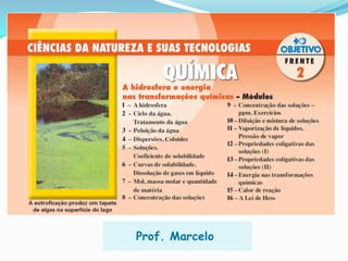 Prof. Marcelo
 