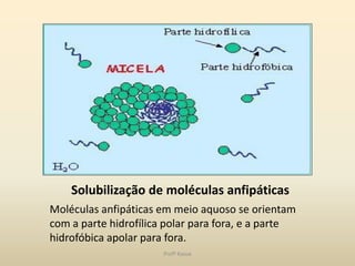 Solubilização de moléculas anfipáticas
Moléculas anfipáticas em meio aquoso se orientam
com a parte hidrofílica polar para fora, e a parte
hidrofóbica apolar para fora.
                       Profª Kasue
 