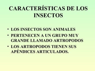 CARACTERÍSTICAS DE LOS INSECTOS ,[object Object],[object Object],[object Object]