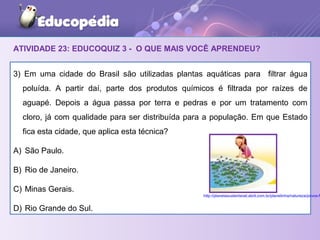 ATIVIDADE 23: EDUCOQUIZ 3 - O QUE MAIS VOCÊ APRENDEU?
3) Em uma cidade do Brasil são utilizadas plantas aquáticas para filtrar água
poluída. A partir daí, parte dos produtos químicos é filtrada por raízes de
aguapé. Depois a água passa por terra e pedras e por um tratamento com
cloro, já com qualidade para ser distribuída para a população. Em que Estado
fica esta cidade, que aplica esta técnica?
A) São Paulo.
B) Rio de Janeiro.
C) Minas Gerais.
D) Rio Grande do Sul.
http://planetasustentavel.abril.com.br/planetinha/natureza/povos-f
 