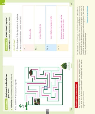 Propósito
y
recomendaciones
En
la
Actividad
9,
se
espera
que
identifiquen
que
la
planta
necesita
para
vivir:
agua,
tierra
de
donde
obtiene
las
sales
minerales
y
el
sol,
para
realizar
su
proceso
de
fotosíntesis.
En
la
Actividad
10,
se
espera
que
los
estudiantes
apliquen
la
habilidad
de
re-
gistro
en
un
proceso
experimental.
Para
esto
deberán
dibujar
lo
que
observan
en
un
período
de
días.
Para
los
estudiantes
que
no
les
gusta
dibujar,
deles
la
posibilidad
de
registrar
sus
observaciones
utilizando
plasticina
u
otro
material
que
sea
de
su
agrado
para
trabajar.
Cuaderno
de
actividades
110
 
