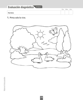 Unidad 2
Evaluación diagnóstica
Material
fotocopiable
Mes
Día Año
Nombre:
1.	Pinta solo lo vivo.
118
 