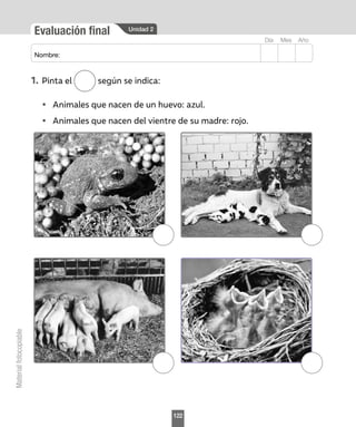 Unidad 2
Evaluación final
Mes
Día Año
Nombre:
Material
fotocopiable
1.	Pinta el según se indica:
•	 Animales que nacen de un huevo: azul.
•	 Animales que nacen del vientre de su madre: rojo.
122
 