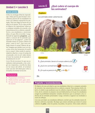 Unidad 3 • Lección 5
Ideas previas
Utilice la estrategia Árbol de Aprendi-
zaje e Ideas previas para levantar cono-
cimientos previos de sus estudiantes en
torno a la cubierta corporal de los ani-
males. Para esto haga un boceto de un
árbol en la pizarra. En la copa escriba
el Objetivo de Aprendizaje (observar
y comparar animales de acuerdo a las
características de su cubierta corporal).
Invite a sus estudiantes a mencionar
ideas o lo que ellos recuerdan. Luego,
formule las siguientes preguntas: ¿qué
saben o conocen de los animales que
aparecen en las páginas?, ¿todos los
animales tienen su cuerpo cubierto de
pelos, como el oso?, ¿qué otros ani-
males tienen el cuerpo cubierto de pe-
los? Imagina que puedes tocar un oso,
¿cómo sería esta sensación al tocarlo
con tu mano? ¿Han tenido la oportu-
nidad de observar o tocar el cuerpo de
un pescado o de un ave? ¿Qué sientes
al tocar las escamas de un pescado o
las plumas de un ave?
Con el fin de reconocer lo que sus es-
tudiantes están pensando, evite corre-
gir sus respuestas y escriba las ideas
en las raíces del árbol, al terminar
tome una foto del árbol para volver a
revisarlas al terminar la lección.
Solucionario
1.	 El guacamayo y la lechuza.
2.	 Podría nombrar: perro, gato, ratón.
3.	 En que tienen su cuerpo cubierto
de escamas.
El objetivo de esta actividad es que sus estudiantes observen y comparen animales
de acuerdo a las características de su cubierta corporal. Para alcanzar dicho ob-
jetivo, lo ideal es que pudieran tocar la cubierta corporal de diferentes animales
vivos, de lo contrario se propone una actividad práctica en la que los estudiantes
tengan la posibilidad manipular variados elementos que se asemejen a las cu-
biertas de los animales presentados. Luego, invítelos a registrar sus resultados a
través de dibujos.
Con esta actividad, sus estudiantes debiesen concluir que los animales tienen di-
ferentes cubiertas corporales. Recalque que existen animales que tienen el cuerpo
cubierto de pelos, como los pumas, las jirafas y los perros. Otros están cubiertos
Propósito y recomendaciones
132
 