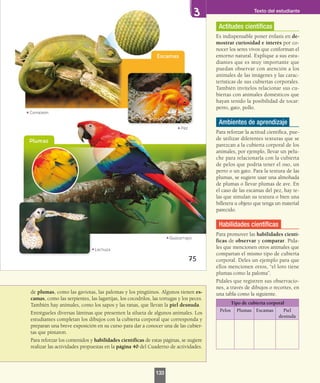 de plumas, como las gaviotas, las palomas y los pingüinos. Algunos tienen es-
camas, como las serpientes, las lagartijas, los cocodrilos, las tortugas y los peces.
También hay animales, como los sapos y las ranas, que llevan la piel desnuda.
Entrégueles diversas láminas que presenten la silueta de algunos animales. Los
estudiantes completan los dibujos con la cubierta corporal que corresponda y
preparan una breve exposición en su curso para dar a conocer una de las cubier-
tas que pintaron.
Para reforzar los contenidos y habilidades científicas de estas páginas, se sugiere
realizar las actividades propuestas en la página 40 del Cuaderno de actividades.
Actitudes científicas
Es indispensable poner énfasis en de-
mostrar curiosidad e interés por co-
nocer los seres vivos que conforman el
entorno natural. Explique a sus estu-
diantes que es muy importante que
puedan observar con atención a los
animales de las imágenes y las carac-
terísticas de sus cubiertas corporales.
También invítelos relacionar sus cu-
biertas con animales domésticos que
hayan tenido la posibilidad de tocar:
perro, gato, pollo.
Ambientes de aprendizaje
Para reforzar la actitud científica, pue-
de utilizar diferentes texturas que se
parezcan a la cubierta corporal de los
animales, por ejemplo, llevar un pelu-
che para relacionarla con la cubierta
de pelos que podría tener el oso, un
perro o un gato. Para la textura de las
plumas, se sugiere usar una almohada
de plumas o llevar plumas de ave. En
el caso de las escamas del pez, hay te-
las que simulan su textura o bien una
billetera u objeto que tenga un material
parecido.
Habilidades científicas
Para promover las habilidades cientí-
ficas de observar y comparar. Pída-
les que mencionen otros animales que
compartan el mismo tipo de cubierta
corporal. Deles un ejemplo para que
ellos mencionen otros, “el loro tiene
plumas como la paloma”.
Pídales que registren sus observacio-
nes, a través de dibujos o recortes, en
una tabla como la siguiente.
Tipo de cubierta corporal
Pelos Plumas Escamas Piel
desnuda
Texto del estudiante
133
 