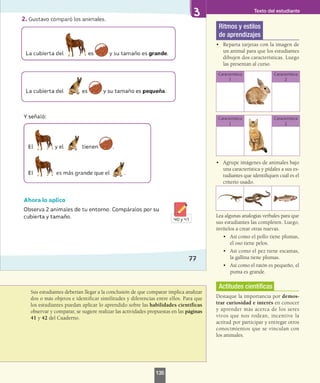 Sus estudiantes deberían llegar a la conclusión de que comparar implica analizar
dos o más objetos e identificar similitudes y diferencias entre ellos. Para que
los estudiantes puedan aplicar lo aprendido sobre las habilidades científicas
observar y comparar, se sugiere realizar las actividades propuestas en las páginas
41 y 42 del Cuaderno.
Ritmos y estilos
de aprendizajes
•	 Reparta tarjetas con la imagen de
un animal para que los estudiantes
dibujen dos características. Luego
las presentan al curso.
•	 Agrupe imágenes de animales bajo
una característica y pídales a sus es-
tudiantes que identifiquen cuál es el
criterio usado.
Lea algunas analogías verbales para que
sus estudiantes las completen. Luego,
invítelos a crear otras nuevas.
•	 Así como el pollo tiene plumas,
el oso tiene pelos.
•	 Así como el pez tiene escamas,
la gallina tiene plumas.
•	 Así como el ratón es pequeño, el
puma es grande.
Actitudes científicas
Destaque la importancia por demos-
trar curiosidad e interés en conocer
y aprender más acerca de los seres
vivos que nos rodean, incentive la
actitud por participar y entregar otros
conocimientos que se vinculan con
los animales.
Característica
1
Característica
2
Característica
1
Característica
2
Texto del estudiante
135
 