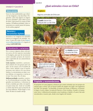 Unidad 3 • Lección 5
Ideas previas
Inicie la clase pidiéndoles que obser-
ven las imágenes y las describan. Pre-
gúnteles: ¿han visto alguna vez alguno
de estos animales? ¿Qué saben acerca
de ellos? ¿Qué tienen en común el lobo
marino y la ballena jorobada? ¿Qué ca-
racterística en común tienen los anima-
les de ambas páginas?
Recursos y
herramientas digitales
Invítelos a ver mágenes de animales
nativos en imágenes de animales na-
tivos. V, para ello visite el sitio https://
www.enlacesmineduc.cl e ingrese el
código G20N1BP138A.
Profundización y variaciones
De a conocer algunos datos relevan-
tes acerca de las especies mostradas
en la página, para que las reconozcan
como animales propios de nuestro
país y aprendan de sus características
observables.
Lobo marino: mamífero, carnívoro.
Está cubierto de una gruesa piel con
pelo. Se les conoce con el nombre de
lobo o león, debido a que el macho
presenta una cabeza con una densa
melena. Lo encontramos en islas y cos-
tas chilenas, en roqueríos o cuevas en
el mar. Vive entre 18 y 24 años.
Ballena jorobada: mamífero, carnívo-
ro. Es reconocida por su joroba. Hace
grandes movimientos y volteretas en
el aire a medida que sube a la superfi-
cie para tomar aire. Suele ser sociable
y cantar más fuerte que la mayoría de
las otras ballenas. Puede llegar a vivir
hasta 50 años en estado salvaje.
El propósito de estas páginas es destacar que existen animales que son propios de
nuestro país, es decir, que no fueron traídos de ningún otro lugar: son originarios
de Chile. Por ejemplo, la chinchilla, el monito del monte, el flamenco, el huemul,
el degú, el zorro culpeo, la ranita de Darwin, el loro tricahue, el pudú y el puma,
entre otros. A diferencia de animales como la paloma, el jabalí y el castor, han sido
introducidos a nuestro país, desde otros lugares del mundo.
Propósito y recomendaciones
138
 
