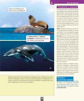 Pídales que describan a los animales de las páginas según su alimentación, lugar
donde se desplazan, formas y estructuras que utilizan para su desplazamiento, y
cubierta corporal. De esta forma les será más fácil establecer comparaciones entre
ellos considerando los criterios mencionados.
Profundización y variaciones
Es importante que en el desarrollo de
estas páginas los estudiantes aprendan
algunos datos relevantes de los anima-
les de nuestro país y puedan motivarse
en la investigación de estos u otros de
su interés. Al observarlos invítelos a
reconocer en ellos características como
tamaño, tipo de cubierta corporal,
estructuras de desplazamiento. A con-
tinuación alguna información de ani-
males nativos.
Pudú: mamífero, herbívoro, es el cier-
vo más pequeño del mundo. Es un ani-
mal tímido, vive en pequeños grupos
en los bosques nativos del sur de Chile.
Huemul: ciervo chileno que forma
parte del escudo nacional. El cuerpo
de los machos alcanza una longitud de
163 cms., con una cola corta de entre
10 y 20 cms. Su peso probable es de
entre 40 a 100 kg. Las hembras son un
poco más pequeñas. Tienen orejas lar-
gas, de unos 20 cms. Sólo los machos
tienen cornamenta, la cual tiene dos
puntas. Su pelo es grueso y denso, y su
color de piel varía con las estaciones
del año, entre un café oscuro y un café
más claro o amarillo dorado con man-
chas grises. Es un animal muy escaso,
pocas veces visto, y en permanente pe-
ligro de extinción.
Se sugiere realizar actividades relacio-
nada con Lenguaje y comunicación.
Invítelos a escuchar cuentos que ha-
blen de animales nativos, realice
preguntas de comprensión lectora y
pídales que los dibujen para transmitir
estas historias con sus familias.
Recursos y
herramientas digitales
Invítelos a ver imágenes del pudú
en el siguiente enlace: https://www.
enlacesmineduc.cl e ingrese el código
G20N1BP139A.
Texto del estudiante
139
 