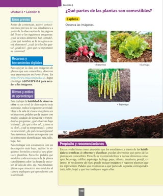 Unidad 3 • Lección 6
Ideas previas
Antes de comenzar, active conoci-
mientos previos de sus estudiantes a
partir de la observación de las páginas
del Texto y las siguientes preguntas:
¿cuál de estos alimentos han comido?,
¿con qué nombre se le designa a es-
tos alimentos?, ¿cuál de ellos les gus-
ta?, ¿cuál no?, ¿por qué es importante
su consumo?
Recursos y
herramientas digitales
Para apoyar la clase con imágenes de
plantas que son comestibles, observan
una presentación en Power Point. En
https://www.enlacesmineduc.cl. digite
el código G20N1BP148A para acce-
der a las imágenes.
Ritmos y estilos
de aprendizajes
Para trabajar la habilidad de observa-
ción en un nivel de desempeño más
avanzado, realice la siguiente actividad:
Lleve a la sala de clases una planta en
un macetero, pídales que la saquen con
mucho cuidado de la maceta y respon-
dan las preguntas: ¿qué observan bajo
la tierra?, ¿de qué color es?, ¿cómo es
su olor?, ¿cuál su temperatura?, ¿cómo
es su textura?, ¿de qué está compuesta?
Para terminar, hacen un esquema con
las estructuras identificadas: raíz, tallo,
hoja, flor.
Para trabajar con estudiantes con un
desempeño más bajo, realice lo si-
guiente: Invítelos a modelar una plan-
ta en plastilina. Para ello, pídales que
modelen cada estructura de la planta
con diferente color: las hojas de un co-
lor, el tallo de otro, etc. Para finalizar,
pídales que muestren sus modelos al
curso y expliquen qué aprendieron con
la actividad.
Esta actividad tiene como propósito que los estudiantes, a través de las habili-
dades científicas de observar y clasificar, puedan determinar qué partes de las
plantas son comestibles. Para ello se recomienda llevar a la clase alimentos como:
apio, betarraga, coliflor, espárrago, lechuga, papa, rábano, zanahoria, perejil, ci-
lantro. Si no dispone de ellos, puede utilizar imágenes o juguetes plásticos que
los representen. Pídales que reconozcan a qué partes de la planta corresponden
(raíz, tallo, hoja) y que los clasifiquen según ellas.
Propósito y recomendaciones
148
 