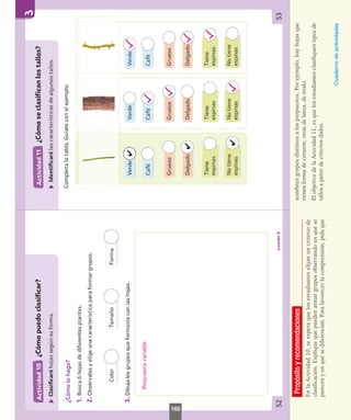 Propósito
y
recomendaciones
En
la
Actividad
10,
se
espera
que
los
estudiantes
elijan
un
criterio
de
clasificación.
Explique
que
pueden
armar
grupos
observando
en
qué
se
parecen
y
en
qué
se
diferencian.
Para
favorecer
la
comprensión,
pida
que
nombren
grupos
distintos
a
los
propuestos.
Por
ejemplo,
hay
hojas
que
tienen
forma
de
corazón,
otras
de
lanza,
de
óvalo.
El
objetivo
de
la
Actividad
11,
es
que
los
estudiantes
clasifiquen
tipos
de
tallos
a
partir
de
criterios
dados.
Cuaderno
de
actividades
169
 