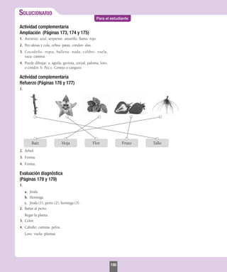 Solucionario
Para el estudiante
Actividad complementaria
Ampliación (Páginas 173, 174 y 175)
1.	 Avestruz- azul, serpiente- amarillo, llama- rojo.
2.	 Pez-aletas y cola, cebra- patas, cóndor- alas.
3.	 Cocodrilo- repta, ballena- nada, colibrí- vuela,
vaca- camina.
4.	 Puede dibujar: a. águila, gaviota, zorzal, paloma, loro,
o cóndor. b. Pez c. Conejo o canguro.
Actividad complementaria
Refuerzo (Páginas 176 y 177)
1.	
Raíz Hoja Fruto
Flor Tallo
2.	 Árbol.
3.	 Forma.
4.	 Forma.
Evaluación diagnóstica
(Páginas 178 y 179)
1.	
a.	 Jirafa.
b.	 Hormiga.
c.	 Jirafa (1), perro (2), hormiga (3).
2.	 Bañar al perro.
Regar la planta.
3.	 Color.
4.	 Caballo: camina- pelos.
Loro: vuela- plumas
186
 