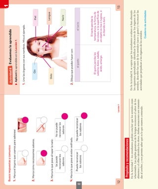 Propósito
y
recomendaciones
En
la
Actividad
7,
los
estudiantes
podrán
concluir
que
los
sentidos
están
relacionados.
Las
papilas
gustativas
de
la
lengua
reconocen
el
sabor
de
los
alimentos
y
el
olfato
identifica
los
olores.
Ambas
sensaciones
son
transmiti-
das
al
cerebro,
y
nos
permite
saber
qué
es
lo
que
estamos
comiendo.
En
la
Actividad
8,
se
espera
que
los
estudiantes
evalúen
si
han
obtenido
los
siguientes
aprendizajes:
identificar
la
ubicación
de
los
órganos
de
los
sentidos,
describir
los
usos
de
los
sentidos
(tacto
y
gusto)
y
reconocer
las
actividades
que
perjudican
a
los
órganos
de
los
sentidos.
Cuaderno
de
actividades
50
 