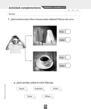 Actividad complementaria
Mes
Día Año
Nombre:
Material
fotocopiable
1.	¿Qué sentiría este niño si tocara estos objetos? Marca con un .
Ampliación • Lecciones 1 y 2
a.	¿Qué sentido utilizó el niño? Márcalo.
Visión
Audición
Tacto
Gusto
Olfato
Frío
Calor
Frío
Calor
60
 