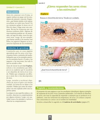 Propósito y recomendaciones
Unidad 2 • Lección 3
Ideas previas
Antes de comenzar con el tema, se
sugiere realizar un juego con los estu-
diantes de estímulo y reacción. Pregún-
teles: ¿qué harían ustedes si de repente
escucharan un ruido muy fuerte? En
ese momento golpee la mesa con el
libro de clases o haga sonar una cam-
pana. Recoja las respuestas que sus
alumnos pudiesen darle. Algunas de
estas respuestas podrían ser: me asusto,
salto, me tapo los oídos, cierro los ojos,
entre otras. Luego, dé otro ejemplo,
¿qué harían ustedes si les muestro una
bolsa con juguetes? Registre en la pi-
zarra las respuestas de sus estudiantes.
Ambientes de aprendizaje
Coménteles que en estas páginas
aprenderán que los seres vivos reac-
cionamos frente a estímulos del medio.
Indíqueles que en los ejemplos anterio-
res los estímulos fueron: el ruido y los
juguetes, y las reacciones, fue todo lo
que les sucedió a ellos.
Antes de iniciar la actividad Explora,
solicite a los estudiantes que dibu-
jen en su cuaderno qué le sucedería
a un chanchito de tierra al ser toca-
do. Pídales que compartan sus dibu-
jos y anote dos o tres descripciones
de estos.
Luego, invítelos a recolectar chan-
chitos de tierra al patio con mucho
cuidado, de forma de no dañar a los
animales. Pídales que traten de empu-
jarlos con una espátula sobre una su-
perficie plana.
Los dejan en una superficie plana y, sin
tocarlos, observan su comportamiento
por algunos minutos. Luego, con sua-
vidad, tocan a los animales y vuelven a
observar su comportamiento.
El propósito de estas páginas es que los estudiantes identifiquen algunos ejemplos
de respuestas de los seres vivos a estímulos ambientales. Con relación al chanchito
de tierra, este tiene la capacidad de responder a estímulos que se producen en el
ambiente, como las variaciones de temperatura, de la luz y el contacto corporal.
Esta característica se conoce con el nombre de irritabilidad.
Invítelos a desarrollar lo sugerido en el Cuaderno de actividades (página 27).
86
 