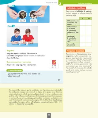 Texto del estudiante
En esta actividad se espera que las semillas del vaso 1 germinen, pues están dadas
las condiciones para que esto ocurra. Si en alguno de los grupos no se obtuviese
este resultado, aproveche la oportunidad para discutir en torno a los factores que
podrían haber influido en dicho proceso. Invítelos a predecir, qué hubiera pasado
si los vasos fueran privados de agua, ¿obtendrían los mismos resultados?, ¿por
qué? Apóyelos en la realización de las páginas 28, 29, 30 y 31 del Cuaderno de
actividades. Se sugiere aplicar la Evaluación formativa (páginas 120 y 121)
adjunta en el material fotocopiable.
Habilidades científicas
Para reforzar la habilidad de registro,
invite a registrar su información en la
siguiente tabla:
Sí No
¿Hubo cambios en
las semillas del
Vaso 1?
¿Hubo cambios
en las bolitas
de cristal y las
piedras en el Vaso
2?
¿Las bolitas
de cristal y las
piedras tienen
vida?
¿Las semillas
tienen vida?
Preguntas de calidad
Para promover el pensamiento meta-
cognitivo, realice las siguientes pre-
guntas: “¿qué parte del experimento
te resultó más difícil?”, “¿por qué?”,
“¿para qué sirve realizar esta activi-
dad?”, “si tuvieras que repetir esta
experiencia, ¿qué parte mejorarías?”,
“¿por qué?”, “¿crees que el resultado
puede ser el mismo si ubicas los vasos
en un lugar sin luz?”
89
 