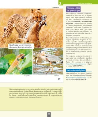 Motívelos a imaginar qué ocurriría con aquellos animales que se alimentan exclu-
sivamente de plantas, si estas últimas desaparecieran producto de ciertas activida-
des humanas. Aproveche esta instancia para enfatizar en la importancia de cuidar
las plantas y los árboles de la naturaleza, pues estos, aparte de proporcionarnos
oxígeno, son una importante fuente de alimento.
Ritmos y estilos
de aprendizajes
Para trabajar el contenido y las habili-
dades en un nivel más alto, se sugiere
leer el libro. ¿Qué comen los animales
del mar? Este libro lo encontrará en
la sección Recursos y herramientas
digitales. Una vez que lean y vean
el cuento, pregúnteles: ¿qué come el
camarón?, ¿qué come el caballito de
mar?, ¿qué come el atún?, ¿qué come
el tiburón? Pídales que dibujen a los
animales del mar y señalen si son her-
bívoros o carnívoros.
Para trabajar en un nivel más bajo, se
sugiere repartirles imágenes de ani-
males y que los estudiantes puedan
establecer las agrupaciones que apren-
dieron. Otra opción es mostrarles una
imagen que tenga varios animales en la
que identifiquen con diferentes colo-
res los animales de acuerdo al tipo de
alimentación.
Se propone un juego interactivo
para que los estudiantes puedan
realizar otro tipo de actividades.
Para ello ingrese a la página
https://www.enlacesmineduc.cl y digite
el código G20N1BP093A.
Herramientas digitales
Observan y leen un cuento: ¿Qué co-
men los animales del mar? Ingrese
a https://www.enlacesmineduc.cl y di-
gite el código G20N1BP093B.
Texto del estudiante
93
 