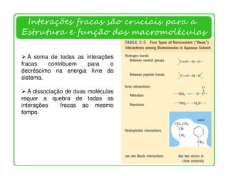 Interações fracas são cruciais para a
Estrutura e função das macromoléculas

   A soma de todas as interações
fracas   contribuem    para    o
decréscimo na energia livre do
sistema.

   A dissociação de duas moléculas
requer a quebra de todas as
interações     fracas ao mesmo
tempo.
 