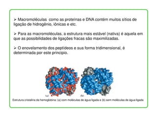 Macromoléculas como as proteínas e DNA contém muitos sítios de
ligação de hidrogênio, iônicas e etc.

  Para as macromoléculas, a estrutura mais estável (nativa) é aquela em
que as possibilidades de ligações fracas são maximilizadas.

  O enovelamento dos peptídeos e sua forma tridimensional, é
determinada por este principio.




Estrutura cristalina da hemoglobina: (a) com moléculas de água ligada e (b) sem moléculas de água ligada
 