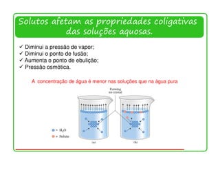 Solutos afetam as propriedades coligativas
            das soluções aquosas.
 Diminui a pressão de vapor;
 Diminui o ponto de fusão;
 Aumenta o ponto de ebulição;
 Pressão osmótica.

   A concentração de água é menor nas soluções que na água pura




                                                                  12
 