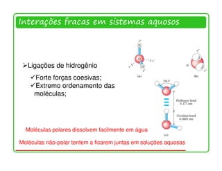 Interações fracas em sistemas aquosos




   Ligações de hidrogênio
     Forte forças coesivas;
     Extremo ordenamento das
     moléculas;




  Moléculas polares dissolvem facilmente em água

Moléculas não-polar tentem a ficarem juntas em soluções aquosas

                                                                  2
 
