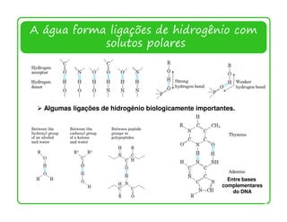 A água forma ligações de hidrogênio com
            solutos polares




  Algumas ligações de hidrogênio biologicamente importantes.




                                                          Entre bases
                                                        complementares
                                                            do DNA

                                                                         5
 