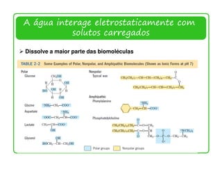 A água interage eletrostaticamente com
           solutos carregados

Dissolve a maior parte das biomoléculas




                                          6
 
