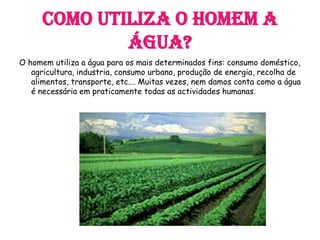 Como utiliza o homem a
água?
O homem utiliza a água para os mais determinados fins: consumo doméstico,
agricultura, industria, consumo urbano, produção de energia, recolha de
alimentos, transporte, etc.… Muitas vezes, nem damos conta como a água
é necessária em praticamente todas as actividades humanas.
 