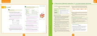 Unidad
6
LIBRO DE ACTIVIDADES
COMPRENDE Y USA CONOCIMIENTOS CIENTÍFICOS _____________________________
5 Relaciona las columnas.
6 En la imagen se representa una porción de la piel humana con sus principales
partes.
• Indica cuáles son las características que le permiten funcionar como una efectiva
herramienta de defensa.
__________________________________________________________________
__________________________________________________________________
__________________________________________________________________
• ¿Es una barrera específica o inespecífica? Da argumentos para justificar tu
respuesta.
__________________________________________________________________
__________________________________________________________________
7 ¿A qué denominamos barreras defensivas? Propón algunos ejemplos.
____________________________________________________________________
____________________________________________________________________
____________________________________________________________________
____________________________________________________________________
8 Explica brevemente el papel de las barreras defensivas y de la respuesta
inflamatoria frente a las infecciones microbianas.
____________________________________________________________________
____________________________________________________________________
____________________________________________________________________
9 En nuestra saliva tenemos una enzima, la lisozima, que destruye numerosas
bacterias. ¿Se trata de un mecanismo de defensa específico o inespecífico?
____________________________________________________________________
____________________________________________________________________
Mecanismos defensivos no específicos
2
Inmunidad Piel, lágrimas y sudor.
Respuesta a la lesión por una herida epitelial.
Inflamación
Macrófago
Célula fagocitaria.
Neutrófilos, células NK, macrófagos.
Barreras primarias
Barreras secundarias
Resistencia ante agentes patógenos.
Folículo
Glándula
sudorípara
Glándula
cebácea
Tejido
graso
Nervios
EXPLICA EL MUNDO FÍSICO
La piel es una barrera física casi infranqueable debido a su grosor, queratinización y descamación de
sus capas, secreciones de las glándulas sebáceas y de sudor, pH algo ácido, flora bacteriana, pelos, etc.
No obstante, puede ser traspasada si presenta lesiones, como las heridas.
La piel constituye una barrera primaria inespecífica para la entrada de microorganismos, puesto que
actúa sobre cualquier tipo de microorganismo sin que exista un reconocimiento específico.
Son los diferentes mecanismos de defensa inespecíficos de los que dispone un organismo para actuar
frente a cualquier tipo de microorganismo. Estas defensas pueden ser barreras físicas, como la piel, o
barreras químicas, como ciertas sustancias de los fluidos naturales (saliva, jugo gástrico, etc.) y de la
sangre, o también células que fagocitan microorganismos.
Es un mecanismo inespecífico porque destruye muchas bacterias y no un tipo específico de bacteria.
Además, la boca es el punto de entrada y de contacto con muchas sustancias, alimenticias o no.
La respuesta inflamatoria consiste en la dilatación de los vasos sanguíneos locales, con lo que llega
más sangre y, por lo tanto, más leucocitos a la zona infectada, aumento de la permeabilidad vascular, lo
que facilita la salida de plasma y células sanguíneas.
103
UNIDAD 6
©
Santillana
S.
A.
Prohibido
fotocopiar.
D.
L.
822
PE0000000000472 LABIO_102_109U6s_5284.indd 103 7/22/16 11:41 AM
6 La salud
EVALÚA LAS IMPLICANCIAS DEL SABER________________________________________
1 ¿Puede una enfermedad de origen mental producir enfermedades físicas o
lesiones en el organismo? Explica tu respuesta y propón ejemplos.
____________________________________________________________________
____________________________________________________________________
____________________________________________________________________
2 Aprender a dialogar y a relacionarnos con los demás forma parte del cuidado de
nuestra salud. Explica por qué y qué tipo de enfermedades evitaremos con estas
habilidades.
____________________________________________________________________
____________________________________________________________________
____________________________________________________________________
3 Observa el gráfico y contesta.
• ¿En qué década se aprecia un cambio brusco en la tasa de mortalidad infantil?
__________________________________________________________________
• Investiga sobre esta época y responde: ¿A qué crees que se deban estos resultados?
__________________________________________________________________
__________________________________________________________________
4 Identifica los factores que repercuten negativamente en tu salud, tanto los agentes
químicos y físicos, así como los sociales. Realiza una lista de ellos durante cinco
días. Luego, responde: ¿crees que tienes una calidad de vida y salud adecuadas?
____________________________________________________________________
____________________________________________________________________
Salud y enfermedad
1
Esperanza de vida
(años)
Tasa de mortalidad infantil
(por mil nacidos vivos)
100
1900
1910
1920
1930
1940
1950
1960
1970
1980
1990
250
80 200
60 150
40 100
20 50
0 0
Esperanza de vida
Tasa
Sí. Por ejemplo, la anorexia y la bulimia pueden causar daños irreversibles al cerebro y al corazón, anemia,
osteoporosis, etc., y pueden llevar a la muerte. El uso de drogas puede ocasionar los siguientes efectos:
presión alta, enfermedades cardiacas, debilitamiento del sistema inmune, etc., e, incluso, la muerte.
El diálogo y las relaciones humanas son necesarias para alcanzar el estado de bienestar emocional,
mental y social. Toda persona necesita relacionarse con otras, recibir y dar cariño, y convivir resolviendo
los conflictos. De esta forma, se evitan enfermedades físicas, mentales y sociales.
Entre 1930 y 1940.
Respuesta libre.
Durante esta época se inició la era antibiótica; por ello, las infecciones bacterianas podían ser tratadas;
además, en este periodo se crearon las vacunas contra la poliomielitis, la fiebre amarilla, la rubeola, etc.
102
©
Santillana
S.
A.
Prohibido
fotocopiar.
D.
L.
822
PE0000000000472 LABIO_102_109U6s_5284.indd 102 7/22/16 11:41 AM
Destacar la naturaleza de los agentes infecciosos. Indicar a los estudiantes
que realicen una búsqueda en internet sobre los diferentes tipos de agentes
infecciosos y que elaboren una lista con ejemplos para completar el siguiente
cuadro:
Hongos Protozoarios Bacterias Virus
Proponer a los estudiantes que relacionen las cinco etapas del desarrollo de
enfermedades infecciosas tomando como ejemplo el sarampión y alguna otra
enfermedad que elijan.
Pedir a los estudiantes que lean el recuadro “Para saber más” de la página
129. Luego, formular la siguiente pregunta: ¿Cómo se descubren los primeros
antibióticos?
Indicar a los estudiantes que realicen las actividades 14 a la 18.
Solucionario ¿Cómo voy? - ¿Cómo vamos?
4. Los mecanismos que se generan se denominan respuesta inmunológica y
pueden ser celular, si es producida por células, o humoral, si es producida
por anticuerpos.
5. En general, las enfermedades de origen bacteriano se tratan con
antibióticos, y las infecciones de origen viral, con ciertos medicamentos
específicos que inhiben diversos pasos de la replicación viral.
6. Respuesta libre
Información complementaria
Inmunización
Se denomina así el proceso de inducción de inmunidad artificial que una
persona recibe frente a una enfermedad. Puede ser pasiva o activa:
• La inmunización pasiva involucra a todos los anticuerpos que son
generados en el organismo de otra persona.
• La inmunización activa es un proceso que involucra la estimulación
del organismo para producir anticuerpos y otras respuestas inmunes,
mediante la administración de vacunas o preparados antigénicos
atenuados.
Texto escolar (págs. 126-129) Libro de actividades (págs. 104 y 105)
Competencia: Explica el mundo físico basándose en conocimientos sobre
los seres vivos; materia y energía; biodiversidad, Tierra y
universo.
Capacidades y desempeños precisados
Capacidad
• Comprende y usa conocimientos sobre los seres vivos;
materia y energía; biodiversidad, Tierra y universo.
Desempeños
precisados
• Describe las células del sistema inmune y los tipos de
inmunidad.
• Señala los agentes causantes de enfermedades
infecciosas.
• Reconoce las etapas de las enfermedades infecciosas.
Sugerencias didácticas
Motivar una discusión al señalar a los estudiantes la imagen de la respuesta
inmune de los linfocitos B, donde se muestran todos sus componentes.
Plantear una actividad en donde diferencien la respuesta inmunológica
celular de la humoral. Luego, preguntarles sobre la importancia de la
respuesta inmunológica en la cura de enfermedades.
Profundizar sobre las funciones de las distintas células del sistema inmune:
linfocitos B y T. Pedir a los estudiantes que elaboren un cuadro sinóptico
sobre los tipos de linfocitos T.
Solicitar a los estudiantes que lean el recuadro “Para tener en cuenta” de
la página 126; luego, preguntarles sobre la diferencia entre anticuerpos y
antígenos. Proporcionarles el tiempo adecuado para que analicen y pedir a
algunos voluntarios que escriban sus respuestas en la pizarra.
Desarrollar el tema de los órganos linfoides primarios y secundarios. Luego,
formular la siguiente pregunta: ¿Qué sucedería si alguno de los órganos
linfoides primarios falla?
Solicitar a los estudiantes que observen el esquema sobre los tipos de
inmunidades y pedirles que lo transcriban en su cuaderno, señalando las
características de cada tipo.
Pedir a los estudiantes que realicen las actividades 10 a la 13.
Presentar la información sobre las enfermedades infecciosas a partir de las
preguntas del recuadro “¿Qué recuerdo?” de la página 128.
Explicar cómo llegan los agentes infecciosos a nuestro cuerpo. Formar
grupos y pedir a los estudiantes que analicen y discutan sobre los agentes
infecciosos y sus mecanismos de infección. Recordarles que deben presentar
ejemplos.
3. Mecanismos defensivos específicos / 4. Las enfermedades infecciosas
199
198
©
Santillana
S.
A.
Prohibida
su
reproducción.
D.
L.
822
©
Santillana
S.
A.
Prohibida
su
reproducción.
D.
L.
822
 