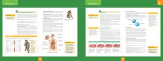 Unidad
6
Unidad
6
texto escolar texto escolar
¿CÓMO VOY?
• Enfermedades degenerativas. Se deben a la muerte progresiva de
las células de un determinado órgano. Por ejemplo, la artrosis y el
alzhéimer.
• Enfermedades metabólicas. Se deben a defectos del metabolismo,
como la insuficiente producción de alguna hormona, la incapacidad
de las células para asimilar determinados nutrientes o la incapacidad
de las glándulas digestivas para elaborar el jugo digestivo. Por ejem-
plo, la diabetes.
• Enfermedades genéticas. Se originan por errores en la informa-
ción genética, lo que determina el mal funcionamiento de algún órga-
no o sistema. Por ejemplo, el daltonismo y la hemofilia.
La hipersensibilidad inmunitaria
Así como el sistema inmune puede debilitarse y facilitar las infecciones,
llegando incluso a provocar una inmunodeficiencia, también puede en-
fermar y sobrerreaccionar frente a antígenos a los cuales no debería
responder, lo que se denomina hipersensibilidad.
La hipersensibilidad más frecuente en la población es la alergia, que
afecta a individuos atópicos, es decir, aquellos que tienen una predispo-
sición genética a padecer alergias.
Entre los efectos producidos por este mecanismo de daño inmunológi-
co están la rinitis alérgica o fiebre de heno, el asma bronquial alérgico,
la urticaria y el shock anafiláctico. Los antígenos responsables de estas
respuestas se denominan alérgenos.
Constricción de las
vías respiratorias.
Mareos, convulsiones,
pérdida de conciencia
o muerte.
Hinchazón en labios
y lengua que impide
tragar y respirar.
Dilatación de los vasos
sanguíneos que afecta
al corazón y al cerebro.
Náuseas, vómitos,
espasmos abdominales
y diarrea.
Hinchazón en la
laringe, que puede
causar ahogo.
Ataques al corazón,
si hay una caída
grave de la presión
sanguínea.
Erupciones
cutáneas.
Síntomas del shock anafiláctico producido por la
picadura de una abeja en personas hipersensibles.
Entre el 15 y el 30% de las personas con
alergias tienen reacciones alérgicas a los
gatos o a los perros.
7 ¿Cómo le explicarías a un
fumador los daños que se está
causando?
8 Realiza una encuesta entre
los miembros de tu familia y
amigos y pregúntales si tienen
alguna alergia. Determina
cuáles son sus alérgenos y
síntomas.
Desarrolla la página 106
del Libro de actividades.
131
UNIDAD 6
©
Santillana
S.
A.
Prohibido
fotocopiar.
D.
L.
822
PE0000000000471 BIO_128_135U6s_5264.indd 131 7/20/16 7:56 PM
¿QUÉ RECUERDO?
PARA SABER MÁS
Acetaldehído
Acroleína
Acetona
Naftilamina*
Metanol
Pireno*
Dimetilnitrosamina*
Naftalina
Nicotina
Cadmio*
Monóxido de carbono
Benzopireno*
Cloruro de vinilo*
Mercurio
Muchas enfermedades provocan la muerte de células de diferentes te-
jidos y órganos, lo que da lugar a lesiones. Las lesiones son daños pro-
ducidos en un órgano o en un tejido. Si se producen como consecuencia
de golpes, reciben el nombre de traumatismos. Esta muerte celular se
debe a lo siguiente:
• Deficiencias metabólicas por la falta de algunos nutrientes, la acu-
mulación de sustancias tóxicas, etc.
• Falta de oxígeno debido al taponamiento de una arteria (trombosis)
o a la llegada a la sangre de una sustancia que impide el transporte del
oxígeno por los glóbulos rojos, como el monóxido de carbono.
Tipos de enfermedades no infecciosas
Las enfermedades no infecciosas pueden ser de varios tipos:
• Enfermedades autoinmunes. Se producen si el sistema inmunita-
rio reacciona contra el propio organismo, causando la muerte celular
en algunos tejidos. Su efecto es similar al de las enfermedades dege-
nerativas. Por ejemplo, el lupus eritematoso sistémico y la esclerosis
múltiple.
• Enfermedades por proliferación celular. En algunos casos, las
células comienzan a reproducirse en exceso, originando un tumor,
que es una masa de células que crece sin control. Si el tumor ocasiona
la muerte de las células a su alrededor, se dice que es maligno. El cán-
cer es un caso de proliferación celular maligna.
• ¿Cómo reacciona el sistema
inmune ante las amenzas que
no son por patógenos?
5
Las enfermedades no infecciosas
Fumar es un mal hábito con una gran cantidad de efectos secundarios. El cigarro es un asesino en
potencia. Aquí sus componentes y consecuencias. Se indican con asterisco las sustancias cancerígenas.
Ácido cianhídrico
Toluidina*
Amoniaco
Uretano*
Tolueno
Arsénico
Dibenzacridina*
Fenol
Polonio 210*
Estireno
DDT
Alquitrán*
Plomo
Arrugas
Pérdida del olfato
Dientes amarillos
Pérdida del gusto
Halitosis
Accidente
cerebrovascular
Infarto
Cáncer de pulmón
Cáncer de laringe
Cáncer de boca
Cáncer de riñón
Cáncer de vejiga
Dependencia
130
©
Santillana
S.
A.
Prohibido
fotocopiar.
D.
L.
822
PE0000000000471 BIO_128_135U6s_5264.indd 130 7/20/16 7:56 PM
VIVE SALUDABLEMENTE
¿CÓMO VAMOS?
Cáncer y respuesta inmune
Cada tipo de cáncer genera una respuesta inmune específica activando
la producción de anticuerpos, de los linfocitos T citotóxicos, de las célu-
las asesinas naturales y de los macrófagos.
Los mecanismos por los cuales las células cancerosas escapan a la ac-
ción del sistema inmune no están claros. Se cree que estas células ten-
drían capacidad de modificar sus antígenos tumorales, gracias a lo cual
no serían reconocidas por la inmunidad humoral como células extrañas.
Diagnóstico precoz
Los tumores malignos pueden tratarse siempre y cuando se realice un
diagnóstico precoz y aún no se haya iniciado la fase invasora de la me-
tástasis. Por ello, se recomienda realizar controles preventivos y che-
queos médicos periodicos. Los principales métodos preventivos son:
• Control sanitario de sustancias de acción cancerígena y la prueba del
papanicolau, cuyo objeto es encontrar células precursoras del cáncer,
antes de que comiencen los síntomas del cáncer cervico-uterino.
• Revisiones periódicas tanto en el hombre como en la mujer a partir de
cierta edad. Así, para prevenir el cáncer de mama se recomienda que
a partir de los 40 años la realización de una mamografía anual.
Tratamientos contra el cáncer
Detectada la enfermedad, existen numerosos tratamientos que alargan
vida de los pacientes o, incluso, dependiendo de la agresividad del cán-
cer, llegan a curarlos totalmente. Los distintos tratamientos dependen
del tipo de cáncer, de su localización y de su extensión en el cuerpo:
• Cirugía. Se aplica cuando el cáncer se encuentra en un lugar concre-
to y no se ha iniciado la metástasis.
• Radioterapia. Se emplea cuando el cáncer está localizado. Consiste
en la aplicación local de radiaciones que matan las células malignas.
• Quimioterapia. Es la administración de fármacos que matan o im-
piden el crecimiento de las células tumorales. Es inespecífico y actúa
sobre todas las células que están en fase de división.
• Tratamientos hormonales. Son efectivos en cánceres que requie-
ren la presencia de hormonas para desarrollarse.
• Inmunoterapia. Consiste en el empleo de agentes que refuercen el
sistema inmunitario, que se encargaría de eliminar el tumor.
Antígenos específicos
del tumor
Antígenos normales
de la superficie celular
9 ¿Cómo se desarrolla el cáncer?
¿Qué mecanismo dejó de
funcionar?
Desarrolla la página 107
del Libro de actividades.
Célula cancerosa
Célula normal
En el Perú, los índices de radiación
ultravioleta (UV) son muy altos,
especialmente en las zonas
altoandinas, y se incrementan
entre los meses de noviembre y
marzo. La piel acumula los daños
causados por esta radiación
a lo largo de los años y puede
ocasionar cáncer de piel.
• ¿Qué acciones tomas tú para
evitar el riesgo de desarrollar un
cáncer a la piel?
• ¿Cómo crearías conciencia de
los riesgos de la radiación UV en
tu comunidad?
133
UNIDAD 6
©
Santillana
S.
A.
Prohibido
fotocopiar.
D.
L.
822
PE0000000000471 BIO_128_135U6s_5264.indd 133 7/20/16 7:56 PM
¿QUÉ RECUERDO?
PARA TENER EN CUENTA
Proceso de desarrollo de un tumor
Una célula aislada del tejido
desarrolla una morfología
distinta y adquiere una
alta tasa de multiplicación,
formándose una célula
cancerosa.
Las células cancerosas
proliferan y forman una masa
localizada en el tejido.
En este caso
se habla de
un tumor benigno.
Las células tumorales
adquieren la capacidad
de invadir los tejidos
circundantes. En este caso
se habla de un tumor
maligno.
Las células cancerosas
emigran vía sanguínea a
otros órganos sanos donde
pueden desarrollar tumores.
Se trata de una metástasis.
Las células se dividen de acuerdo a los pasos y regulaciones del ciclo
celular. Cuando el organismo se encuentra en crecimiento o necesita
reparar algún daño (como en una herida), las células se dividen con
mayor rapidez y de manera normal. Así, existe un equilibrio entre el
número de células que mueren y las que nacen. Sin embargo, algunos
factores pueden provocar la pérdida del control de estas divisiones y
podría originarse un grupo de células anormales. A este grupo de célu-
las se le denomina tumor o neoplasia.
No todas las células tumorales son cancerosas. Algunas de las caracte-
rísticas que las distinguen incluyen:
• Son de origen clonal, es decir, son copias de una misma célula.
• Se dividen indefinidamente y pueden migrar a distintos lugares y for-
mar nuevos tumores (metástasis).
• Presentan una estructura interna anormal.
• Tienen un metabolismo alterado.
Origen de las células cancerosas
Las células sanas pueden transformarse en células cancerosas por dos
razones principalmente:
• Mutación de su material genético. El ADN de las células pro-
duce proteínas que controlan la división celular. Si se daña el ADN,
también se afectarán estas proteínas de control y la célula se dividirá
descontroladamente. Entre los factores que afectan al ADN están el
humo del tabaco, la radiación ultravioleta y diversos agentes quími-
cos presentes en la contaminación ambiental.
• Acción de ciertos virus. El ADN de ciertos virus, como el virus del
papiloma humano que causa cáncer de cuello uterino, se integra en
el de la célula hospedera, haciendo que ciertos genes se activen y se
produzcan más células, lo que puede originar un tumor y, eventual-
mente, cáncer.
• ¿Cómo afecta el cáncer
a la salud?
6
El cáncer
Una biopsia consiste en la
extracción de una pequeña
porción de tejido para examinarla
en el laboratorio con la ayuda
de un microscopio. Las biopsias
se emplean, por ejemplo, para
determinar si un tumor es benigno
o maligno.
2
1 3 4
132
©
Santillana
S.
A.
Prohibido
fotocopiar.
D.
L.
822
PE0000000000471 BIO_128_135U6s_5264.indd 132 7/20/16 7:56 PM
205
204
©
Santillana
S.
A.
Prohibida
su
reproducción.
D.
L.
822
©
Santillana
S.
A.
Prohibida
su
reproducción.
D.
L.
822
 