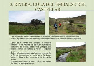 3. RIVERA. COLA DEL EMBALSE DEL
CASTELLAR
La rivera se encuentra a 3 km al norte de Alconera. Se accede al lugar atravesando en el
camino algunos campos de cereales y otras zonas escarpadas y con abundante vegetación.
Cerca de la Rivera que alimenta al cercano
embalse de la Albuera se observan numerosos
ejemplares de encinas, alcornoques y chopos que
ofrecen sombra al visitante y reposo a algunas
aves.
Debido a la escasez de precipitaciones el cauce de
la Rivera tiene apenas un metro de profundidad,
pudiendo llegar a los tres metros en época de
lluvias.
Una noria, casi destruida en su totalidad, es testigo
del paso del agua y del tiempo.
 