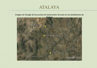 ATALAYA
Imagen de Google de los puntos de observación de aves en los alrededores de
Atalaya
 