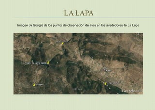 LA LAPA
Imagen de Google de los puntos de observación de aves en los alrededores de La Lapa
 
