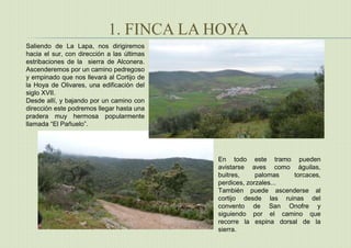 1. FINCA LA HOYA
Saliendo de La Lapa, nos dirigiremos
hacia el sur, con dirección a las últimas
estribaciones de la sierra de Alconera.
Ascenderemos por un camino pedregoso
y empinado que nos llevará al Cortijo de
la Hoya de Olivares, una edificación del
siglo XVII.
Desde allí, y bajando por un camino con
dirección este podremos llegar hasta una
pradera muy hermosa popularmente
llamada “El Pañuelo”.
En todo este tramo pueden
avistarse aves como águilas,
buitres, palomas torcaces,
perdices, zorzales...
También puede ascenderse al
cortijo desde las ruinas del
convento de San Onofre y
siguiendo por el camino que
recorre la espina dorsal de la
sierra.
 