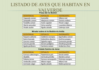 LISTADO DE AVES QUE HABITAN EN
VALVERDE
Colada Camino de Jerez
Mirador sobre el río Bodión-río Ardila
Presa del río Bodión
 
